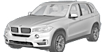 BMW F15 P1100 Fault Code
